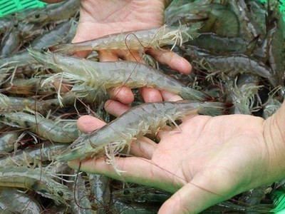 KL99 là cổng game giải trí trực tuyến hàng đầu hiện nay cần quan tâm ngày 22/7