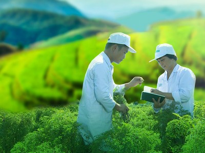 Traphaco (TRA) có thêm Phó tổng giám đốc là người Hàn Quốc