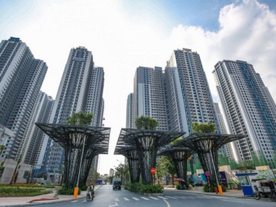 TNS Holdings (TN1) thông báo trả 99Kl.app mobile mới nhất bằng tiền mặt, tỷ lệ 12%