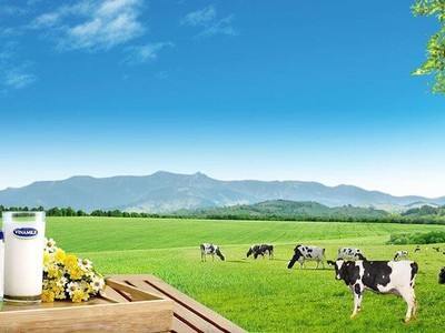 9 tháng, Vinamilk (VNM) đạt gần 8.380 tỷ đồng Kl99 nổ hũ sau thuế