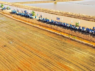 Lộc Trời trình diễn phun thuốc trên lúa bằng thiết bị bay không người lái