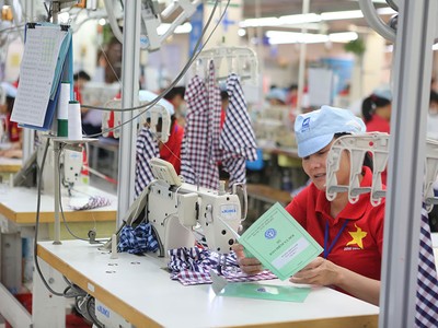 Đã cắt giảm được 3/4 số thủ tục hành chính trong BHXH, BHYT