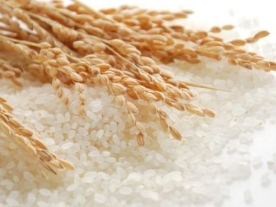 Vinafood II (VSF) bị phạt 50 triệu đồng do lỗi chậm công bố báo cáo Kl991.com nạp rút nhanh