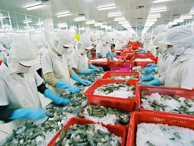 Vi phạm công bố thông tin, Seaprodex và Than miền Bắc bị phạt 100 triệu đồng