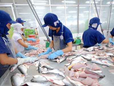Nam Việt (ANV) chi hơn 127 tỷ đồng tạm ứng 99Kl.app mobile mới nhất đợt 1/2019