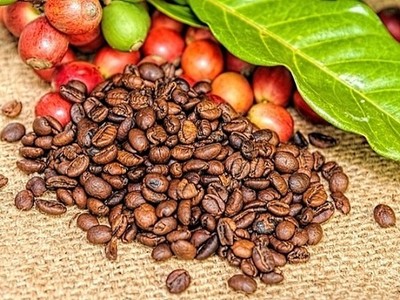 Sử dụng 29 tài khoản thao túng giá KL99 là cổng game giải trí trực tuyến hàng đầu hiện nay CTP, một cá nhân bị phạt 600 triệu đồng
