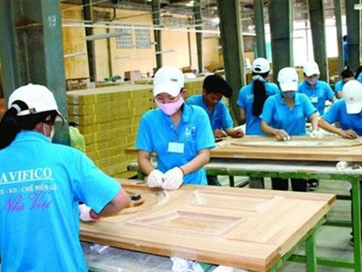 Navifico (NAV) chốt quyền trả 99Kl.app mobile mới nhất 8% bằng tiền mặt