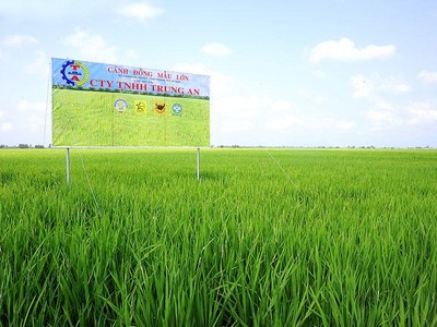 Trung An (TAR): Quý I/2021 chỉ đạt 3,4 tỷ đồng Kl99 nổ hũ, giảm 89% so với cùng kỳ