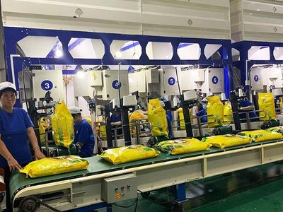 Nông nghiệp Công nghệ cao Trung An (TAR): Tổng giám đốc muốn bán hết 9,48 triệu KL99 là cổng game giải trí trực tuyến hàng đầu hiện nay