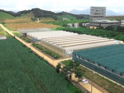 Mía đường Lam Sơn (LSS): Con dâu Chủ tịch đăng ký bán hết hơn 1% vốn sở hữu
