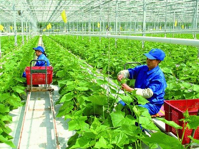 8 nguyên nhân khiến dịch vụ Kl991.com nạp rút nhanh nông thôn đang bị bỏ ngỏ