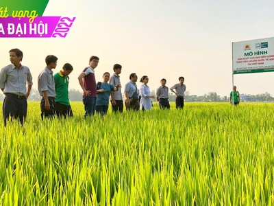 Chuyện ngược đời ở Lộc Trời (LTG): Đặt kế hoạch Kl99 nổ hũ thấp để hưởng thưởng lớn?