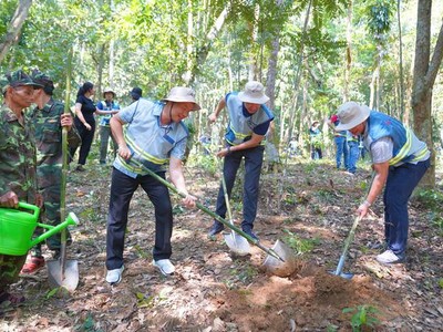 Coteccons khởi động chiến dịch trồng cây “Green Up” trong dự án bảo tồn rừng tại Phong Nha - Kẻ Bàng