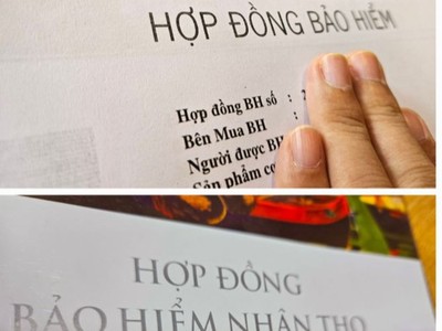 Các Kl991.com World Cup 2026 Chính Thức Kl99kl phiên bản hoạt động sẽ phải xây dựng bản tóm tắt hợp đồng Kl99kl phiên bản hoạt động