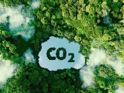 Việt Nam thuộc Top 5 quốc gia cung cấp tín chỉ carbon toàn cầu