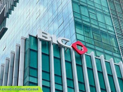 ĐHĐCĐ BIC: Tăng trưởng mạnh mẽ, hướng tới mục tiêu Top 5 thị phần vào năm 2025