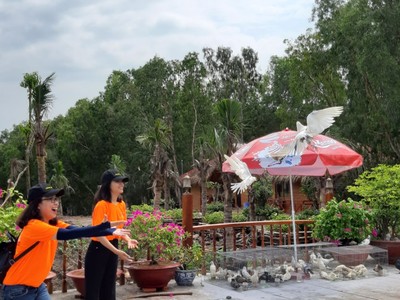 Khác lạ Trà Sư 