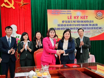 Vinasamex và huyện Tràng Định (Lạng Sơn) đã ký kết hợp tác Kl99ok phiên bản mới, phát triển vùng nguyên liệu và chế biến quế hồi hữu cơ. 