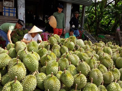 (Ảnh minh họa)