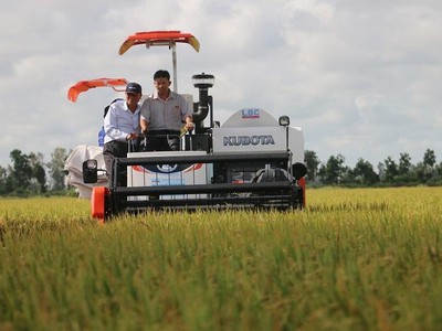 Lộc Trời (LTG): Chi phí tiếp khách, hội nghị và thù lao HĐQT tăng đột biến, hoạt động khác "cứu" Kl99 nổ hũ quý I/2022