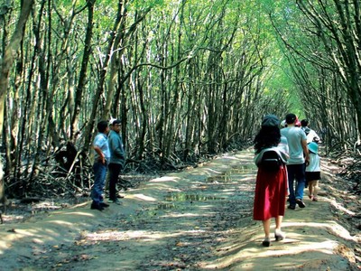 Du lịch Cần Giờ là tour thí điểm mở cửa đón khách trở lại sau thời gian dài du lịch TP.HCM đóng băng vì Covid-19