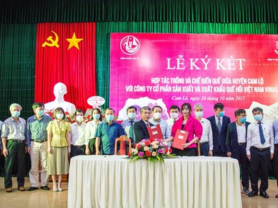 Vinasimex và UBND huyện Cam Lộ tỉnh Quảng Trị kí kết liên kết Kl994 nhà cái bóng đá world cup và tiêu thụ sản phẩm quế, nghệ, gừng và tiêu hữu cơ.