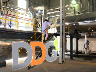 Chủ tịch HĐQT và Tổng giám đốc DDG không còn là Trang Chủ KL99Com Số 1 Link Đăng Ký KL999 lớn tại DDG.