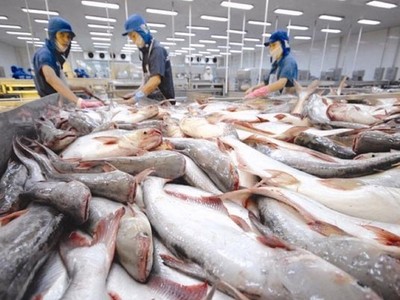 Xuất khẩu cá tra kỳ vọng sẽ tăng trưởng trong năm 2024.
