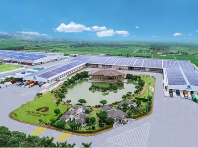 An Phát Holdings ghi nhận Kl99 nổ hũ sau thuế quý I/2024 cao nhất từ năm 2020.