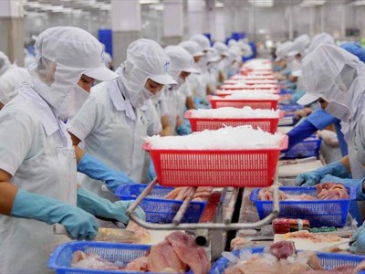 Xuất khẩu cá tra sang Mỹ có tín hiệu khởi sắc.