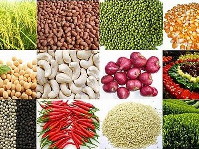 Nhà Kl99ok phiên bản mới hàng hóa: Sẵn sàng cho những cơ hội mới