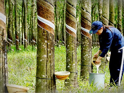 Thị trường hàng hóa tuần 6 - 10/5: Lại nóng căng thẳng Mỹ - Trung