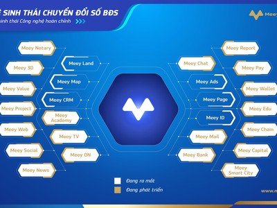 Meey Map - sản phẩm công nghệ nổi trội tại Vietnam DX Summit 2021