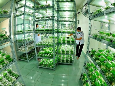 Các Kl991.com World Cup 2026 Chính Thức cho rằng việc tiếp cận các ưu đãi với nông nghiệp công nghệ cao vẫn gặp khó khăn. Ảnh minh họa