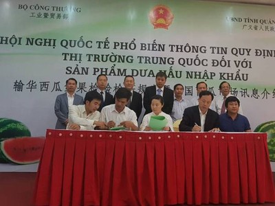 Kl991.com World Cup 2026 Chính Thức Việt Nam vừa ký một loạt hợp đồng xuất khẩu dưa hấu niên vụ 2018 sang thị trường Trung Quốc.