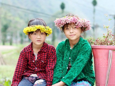 “Phát cuồng” vẻ đẹp hoa tam giác mạch bung nở trên sườn núi đá Hà Giang