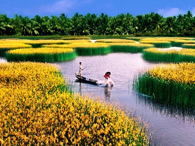 Đồng bằng sông Cửu Long đang đứng trước nguy cơ mất an ninh nguồn nước trong bối cảnh biến đổi khí hậu. Ảnh Intenet