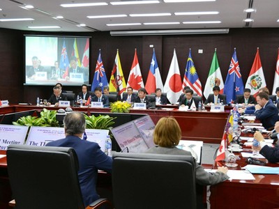 Các bộ trưởng từ 11 thành viên đã ký kết Hiệp định TPP nhóm họp tại Đà Nẵng, Việt Nam, ngày 9/11. Ảnh: Kyodo.