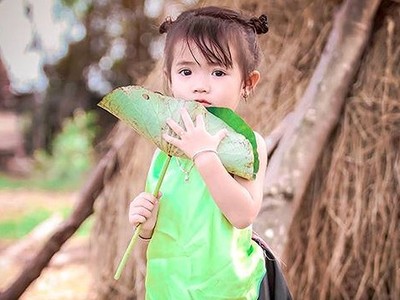 Cánh đồng sen 5 ha nở rộ giữa nắng hạn Ninh Thuận