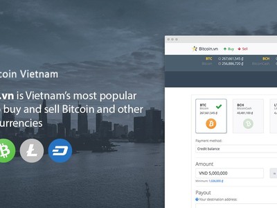 Công ty Bitcoin Việt Nam bị xử phạt, tịch thu tên miền bitcoin.vn