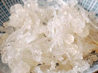 Nhựa cây tuyết yến có màu sắc giống  như mủ trôm.