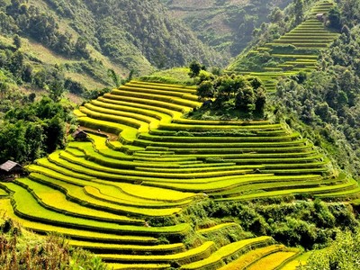 Ảnh minh hoạ. Nguồn: Internet.