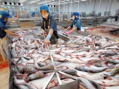 Nguồn thu từ thuỷ sản của Hùng Vương đang lao dốc không phanh.