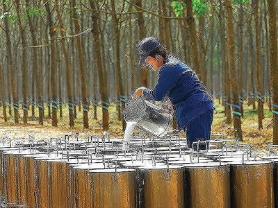 Ảnh Internet.
