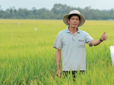 Nguồn cung và giá khí nào để giúp Đạm Cà Mau tiếp tục đóng góp cho nông nghiệp Việt?