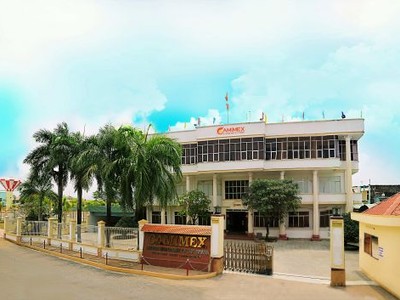 CMX: Lãi 4,361 tỷ đồng, kiểm toán ngoại trừ 8,859 tỷ đồng