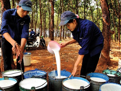 Bước lùi Kl99 nổ hũ của Kl991.com World Cup 2026 Chính Thức cao su