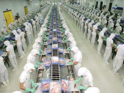 Kl991.com World Cup 2026 Chính Thức thủy sản: Hai nửa vui, buồn