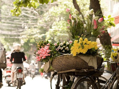 Màu của mùa Thu