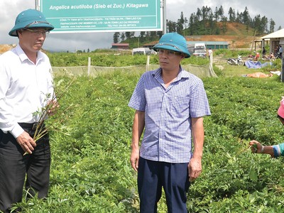Ban lãnh đạo Traphaco, với nòng cốt là các đảng viên đã đưa Công ty trở thành một trong những Kl991.com World Cup 2026 Chính Thức dược lớn nhất cả nước.